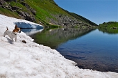 Alla scoperta dei Laghi alta Val Sanguigno tra Monte Pradella e Pizzo Salina il 25 luglio 2010 - FOTOGALLERY
